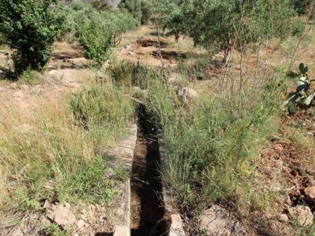 Terreno, Vélez de Benaudalla