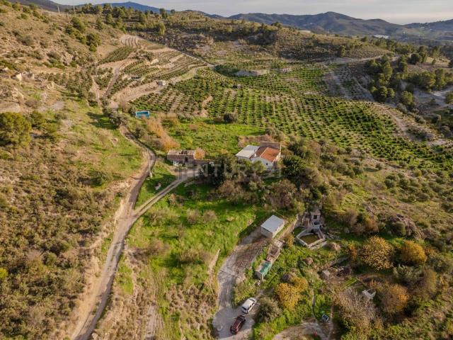 Terreno, Vélez de Benaudalla