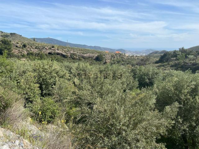 Terreno, Vélez de Benaudalla