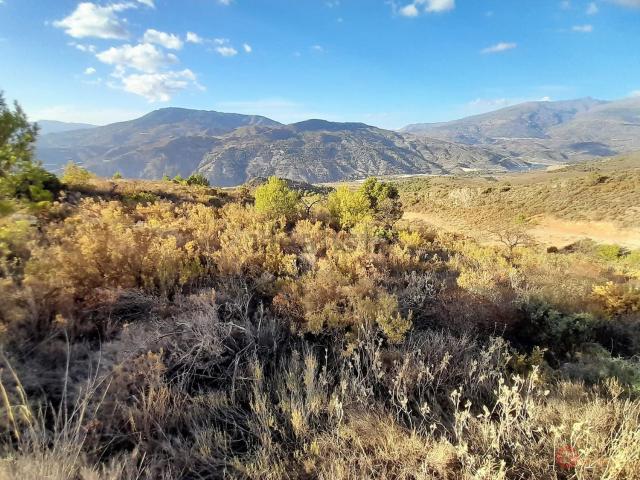 Terreno, Vélez de Benaudalla