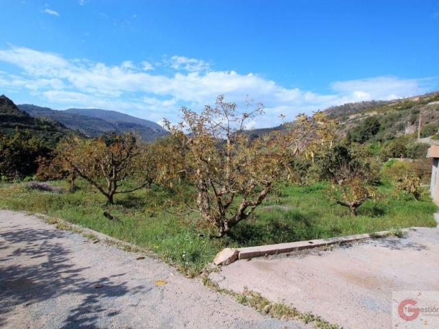 Terreno, Vélez de Benaudalla