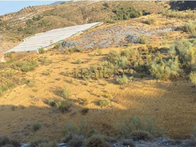 Terreno, Vélez de Benaudalla