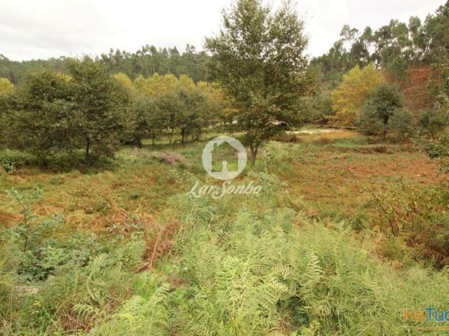 Terreno Venda Agilde Celorico de Basto | 26084064209