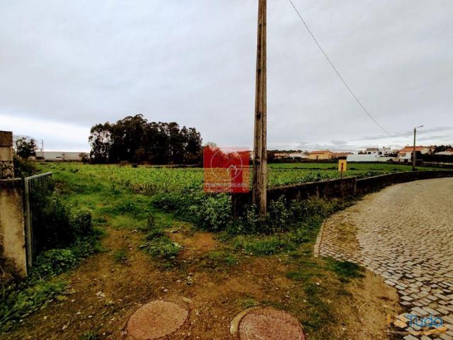 Terreno venda Argivai | 26083328931
