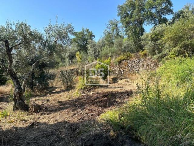 Terreno Venda em Ninho do Açor e Sobral do Campo,Castelo Branco
