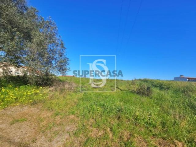 Terreno Venda em Alqueidão,Figueira da Foz
