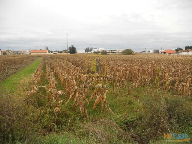 Terreno Venda em Aradas,Aveiro | 26063424191