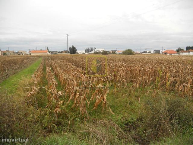 Terreno Venda em Aradas,Aveiro