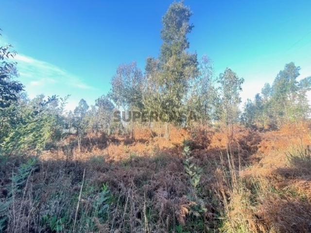 Terreno Venda em Canelas,Vila Nova de Gaia