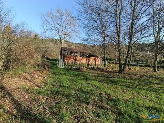 Terreno Venda em Couto de Baixo e Couto de Cima,Viseu | 26074083219