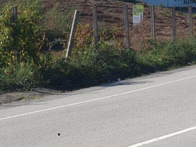 Terreno Venda em Freamunde,Paços de Ferreira | 26064090243