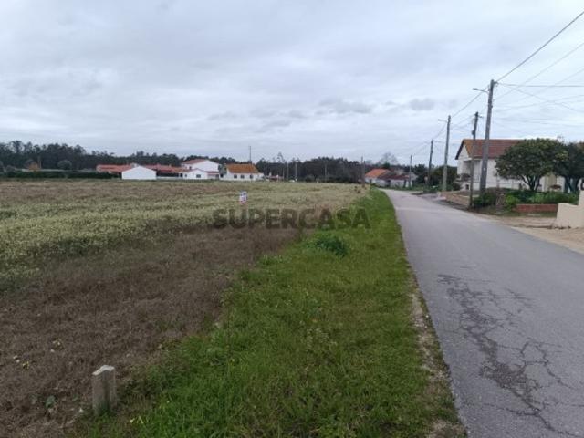 Terreno Venda em Louriçal,Pombal