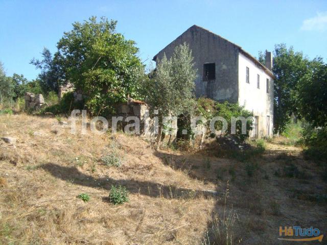 Terreno Venda em Povolide,Viseu | 26063350971