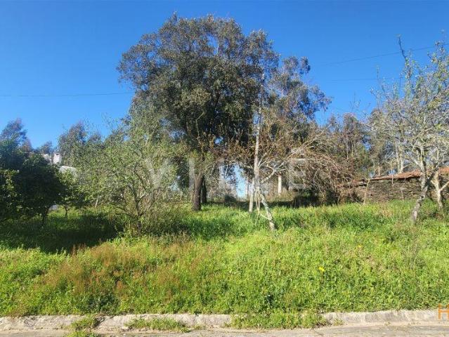 Terreno Venda em Préstimo e Macieira de Alcoba,Águeda | 26064082658