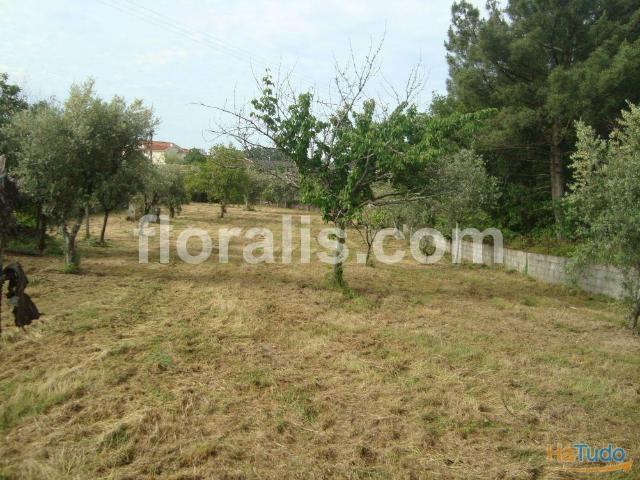 Terreno Venda em Repeses e São Salvador,Viseu | 26063350955