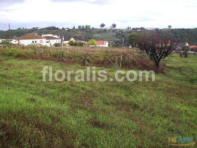 Terreno Venda em Santos Evos,Viseu | 26063350926