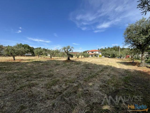 Terreno Venda em Silgueiros,Viseu | 26064084703