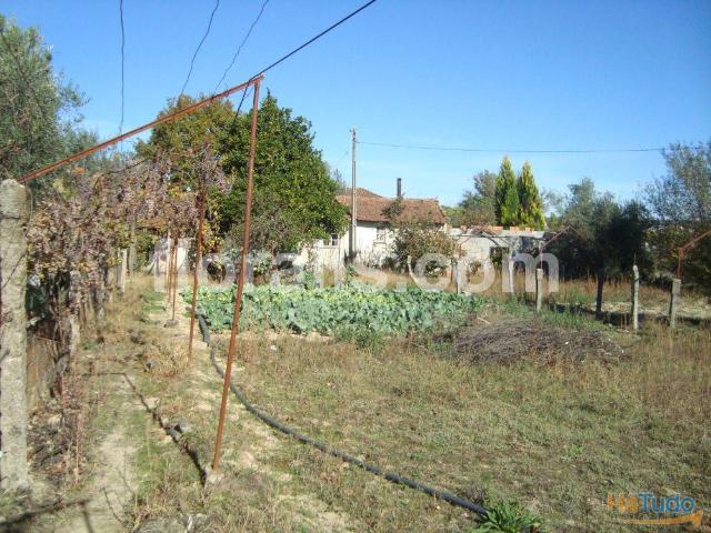 Terreno Venda em Viseu,Viseu | 26063350975