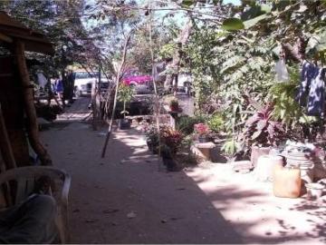 Terreno VENTA Acapulco colonia LA SABANA Autopista del Sol Direccion CDMX
