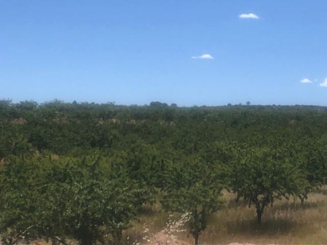 Terreno Venta Albacete