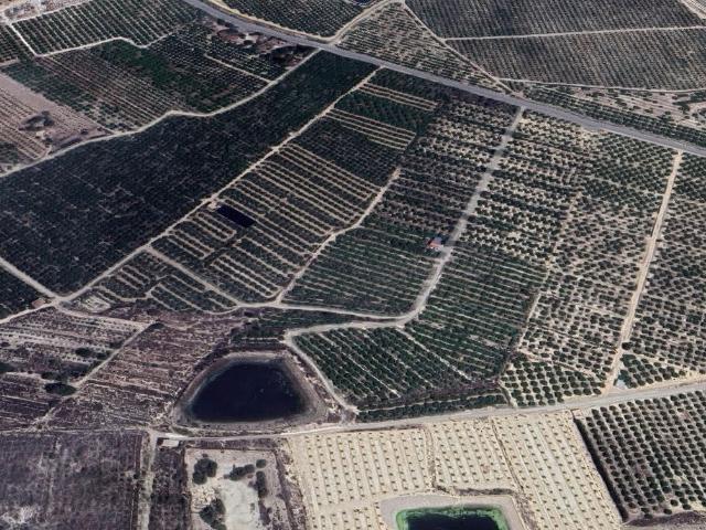 Terreno Venta Alicante
