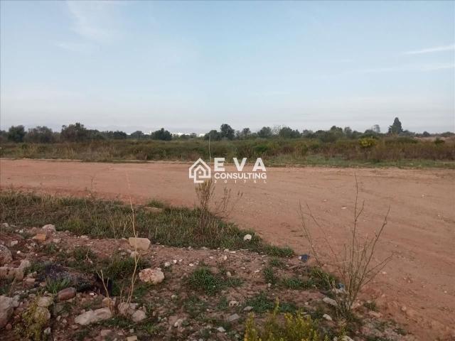 Terreno Venta Castellón