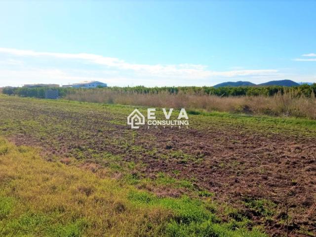 Terreno Venta Castellón