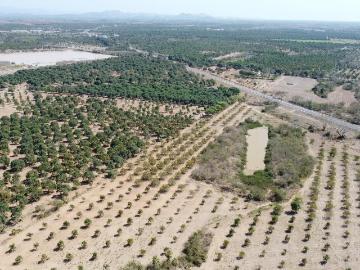 Terreno, VENTA DE TERRENO EN TECUALA NAYARIT, MÉXICO. 60 Hectáreas