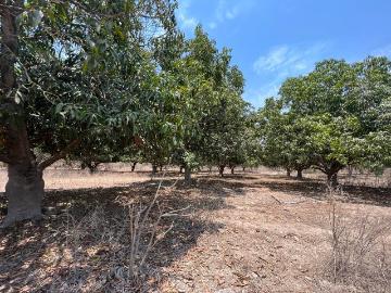 Terreno, VENTA DE TERRENO EN TECUALA NAYARIT, MEXICO. 22 HECTÁREAS
