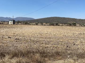 Terreno, VENTA DE TERRENO EN ZAPOTLAN DE JUAREZ HIDALGO