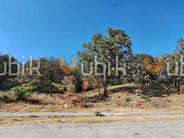 TERRENO VENTA EL PALOMAR SECCION BOSQUES TLAJOMULCO DE ZUÑIGA