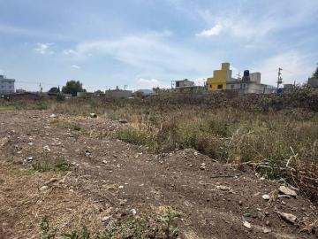 Terreno venta en San Francisco de Asis, Ecatepec de Morelos, Edo de Méx. 4