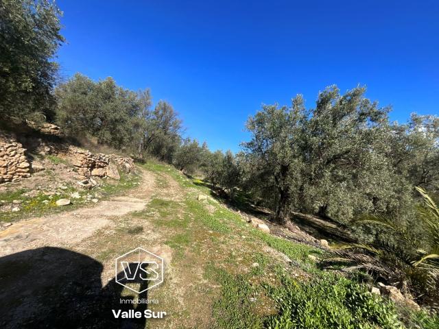 Terreno Venta Granada