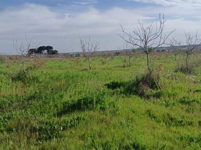 Terreno Venta Huelva