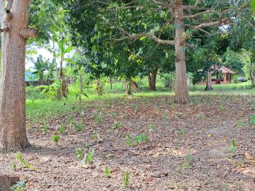 TERRENO VENTA JIMÉNEZ NACAJUCA TABASCO