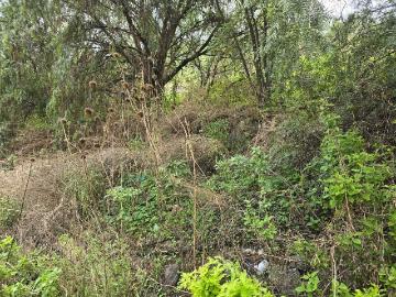 Terreno Venta Lomas de Lindavista