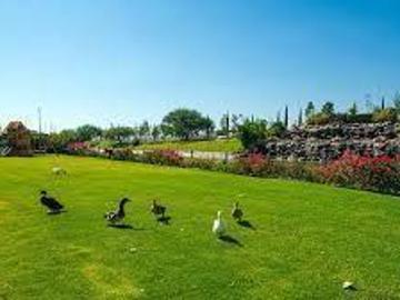 Terreno Venta Querétaro para ocupar tu Crédito Hipotecario o Infonavit, Fracc. El Faro de los Cisnes