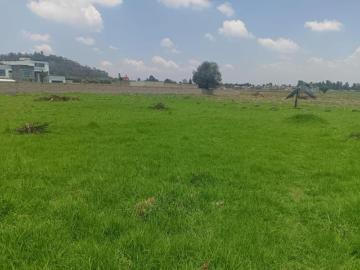 Terreno Venta San Lorenzo Coacalco Metepec