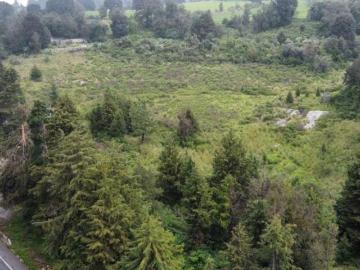 TERRENO VENTA SOBRE AUTOPISTA MEX CUERNAVACA MUNICIPIO DE HUITZILAC MORELOS