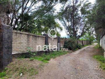 TERRENO VENTA TENEXTEPEC ATLIXCO PUEBLA