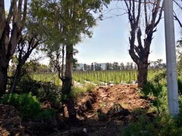 Terreno Venta Tequisquiapan Queretaro 73ha