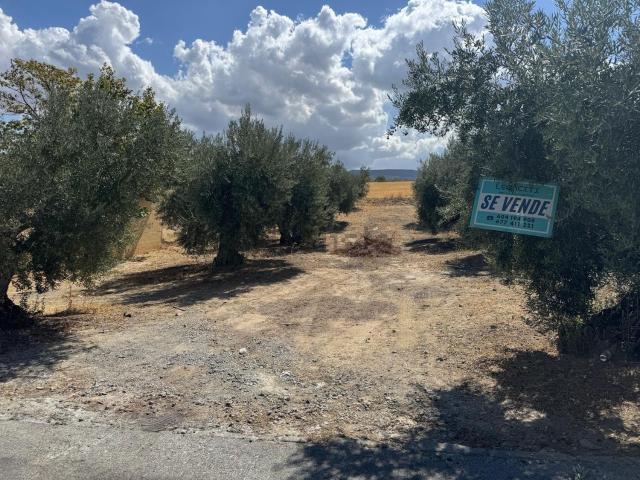 Terreno, Ventas de Huelma