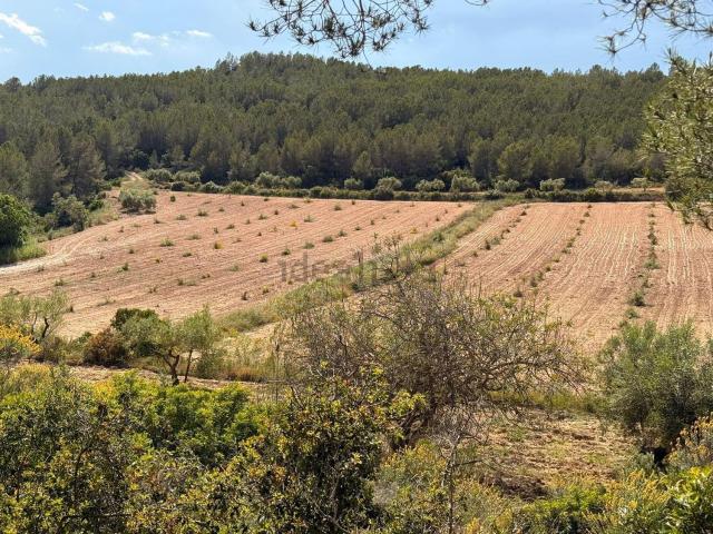 Terreno, Vespella