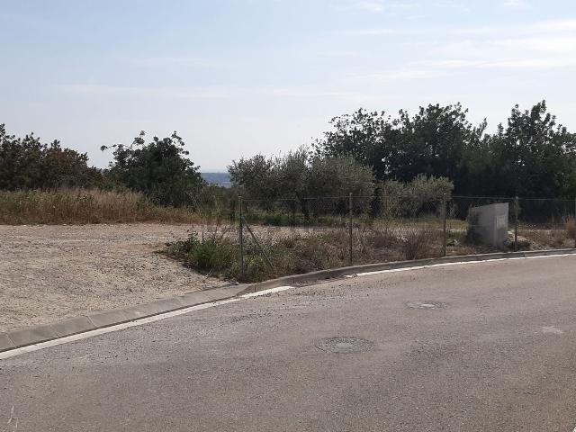 Terreno, Vespella