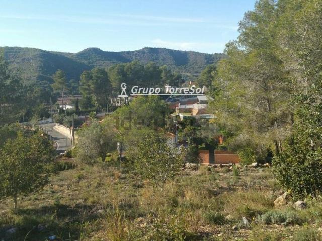 Terreno, Vespella