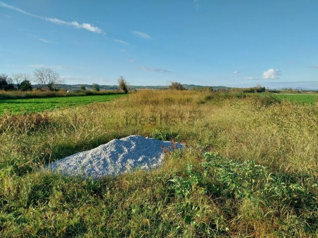 Terreno, Verges