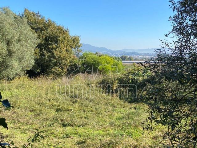 Terreno, Viana Do Castelo Santa Maria Maior e Monserrate e Meadela, Viana do Castelo | BPI Expresso Imobiliário