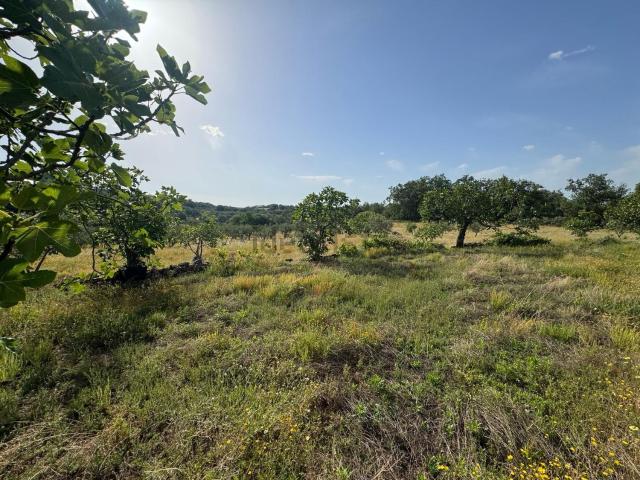 Terreno, Viandar de la Vera