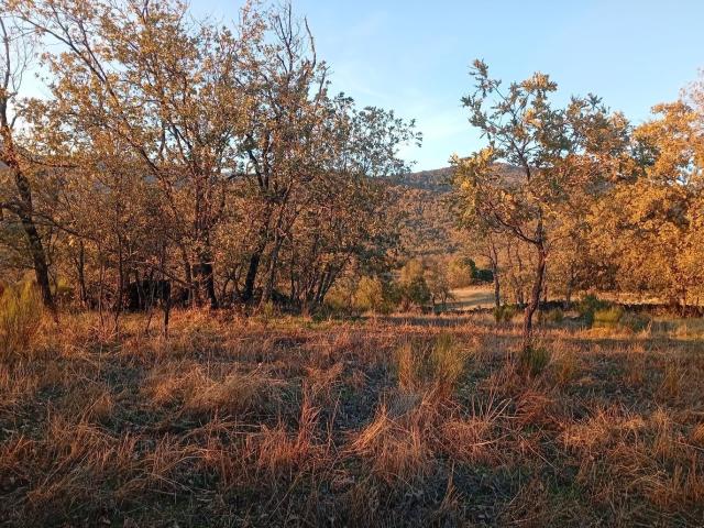 Terreno, Viandar de la Vera
