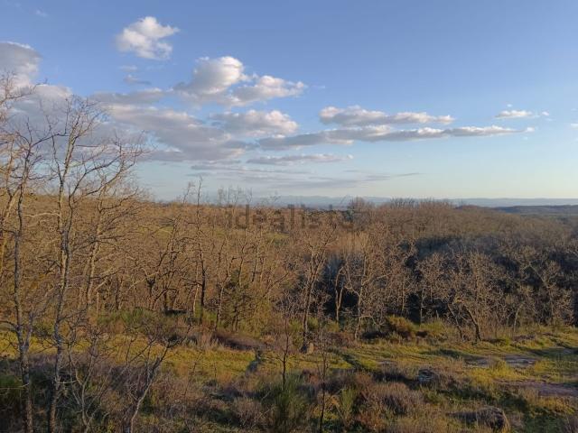 Terreno, Viandar de la Vera